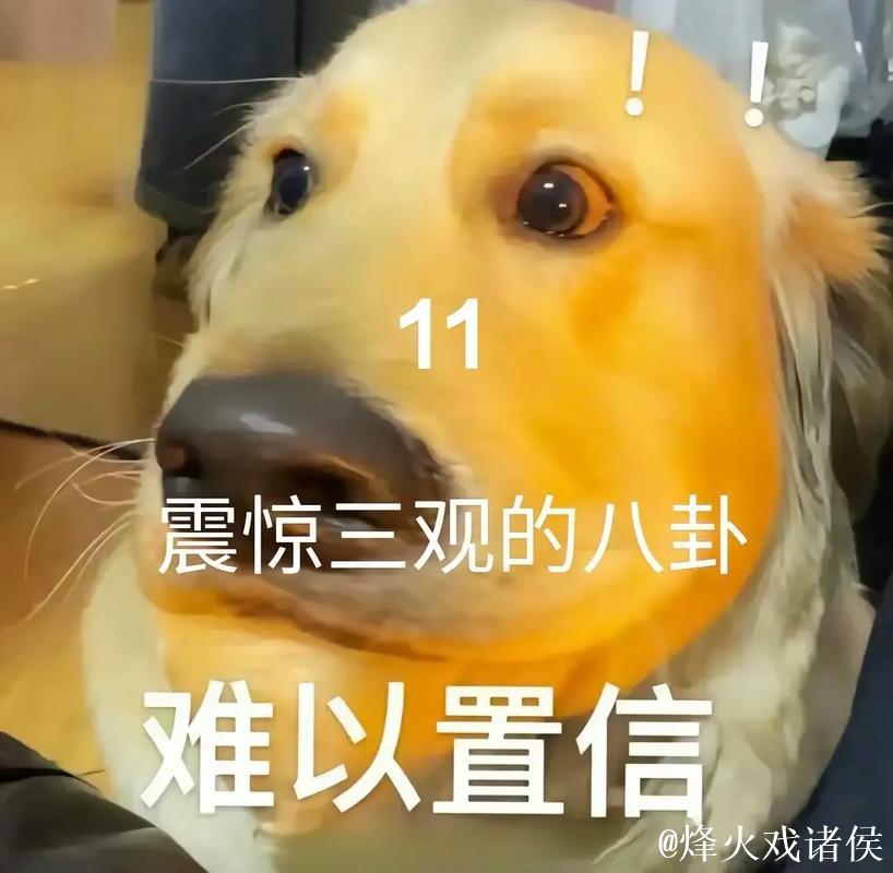 吃瓜网群里的八卦日常 吃瓜网群里的八卦日常